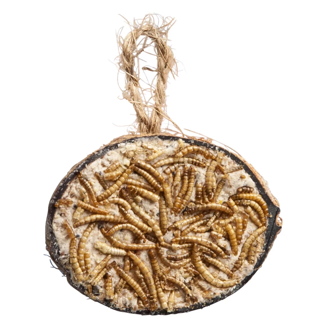 HALF COCONUT WITH MEALWORMS