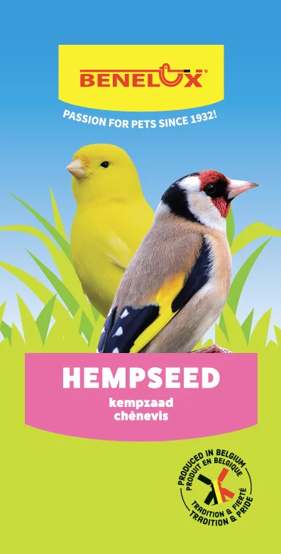 HEMP SEED FROM FRANCE DO NOT APPLY SOWING TARGET 0,8KG QS