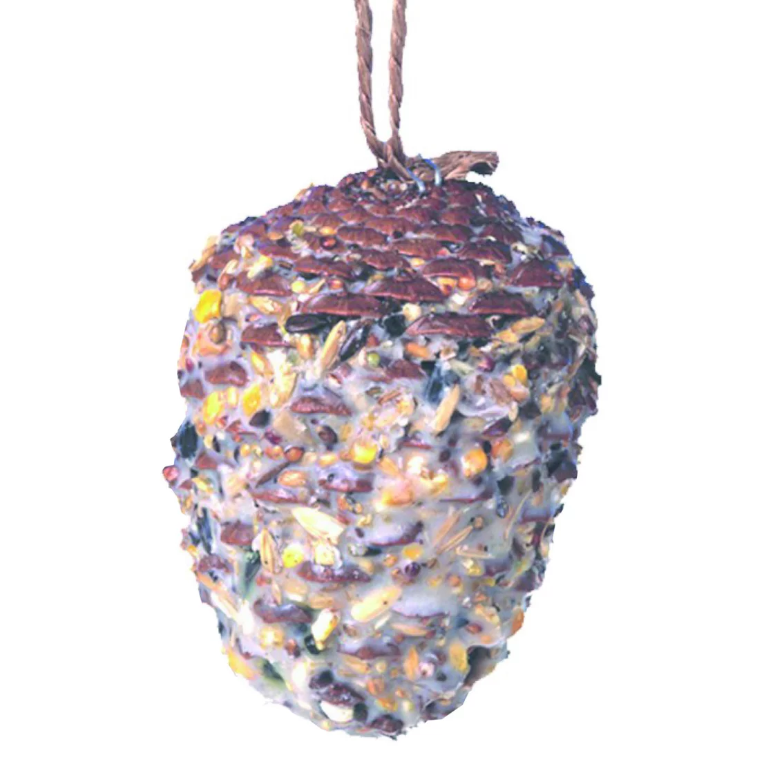 GIANT BIRD CONE 350G