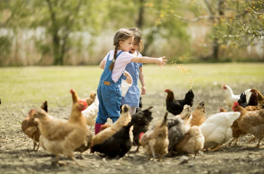 Le bonheur a des plumes, des pattes et des nageoires. C'est Benelux. Pour chaque animal.