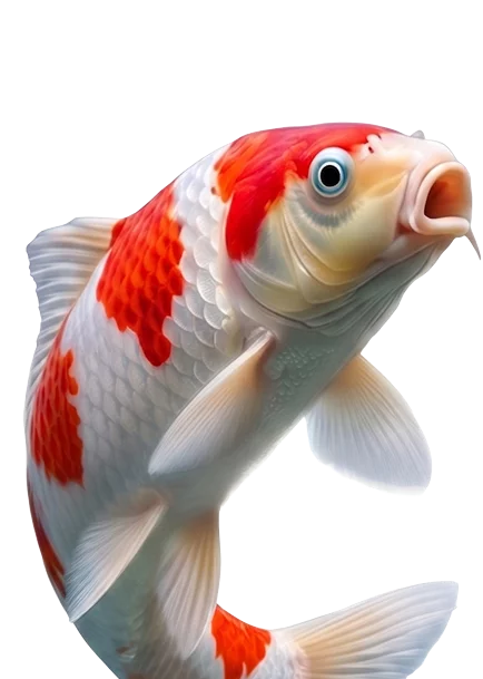 Vissen
