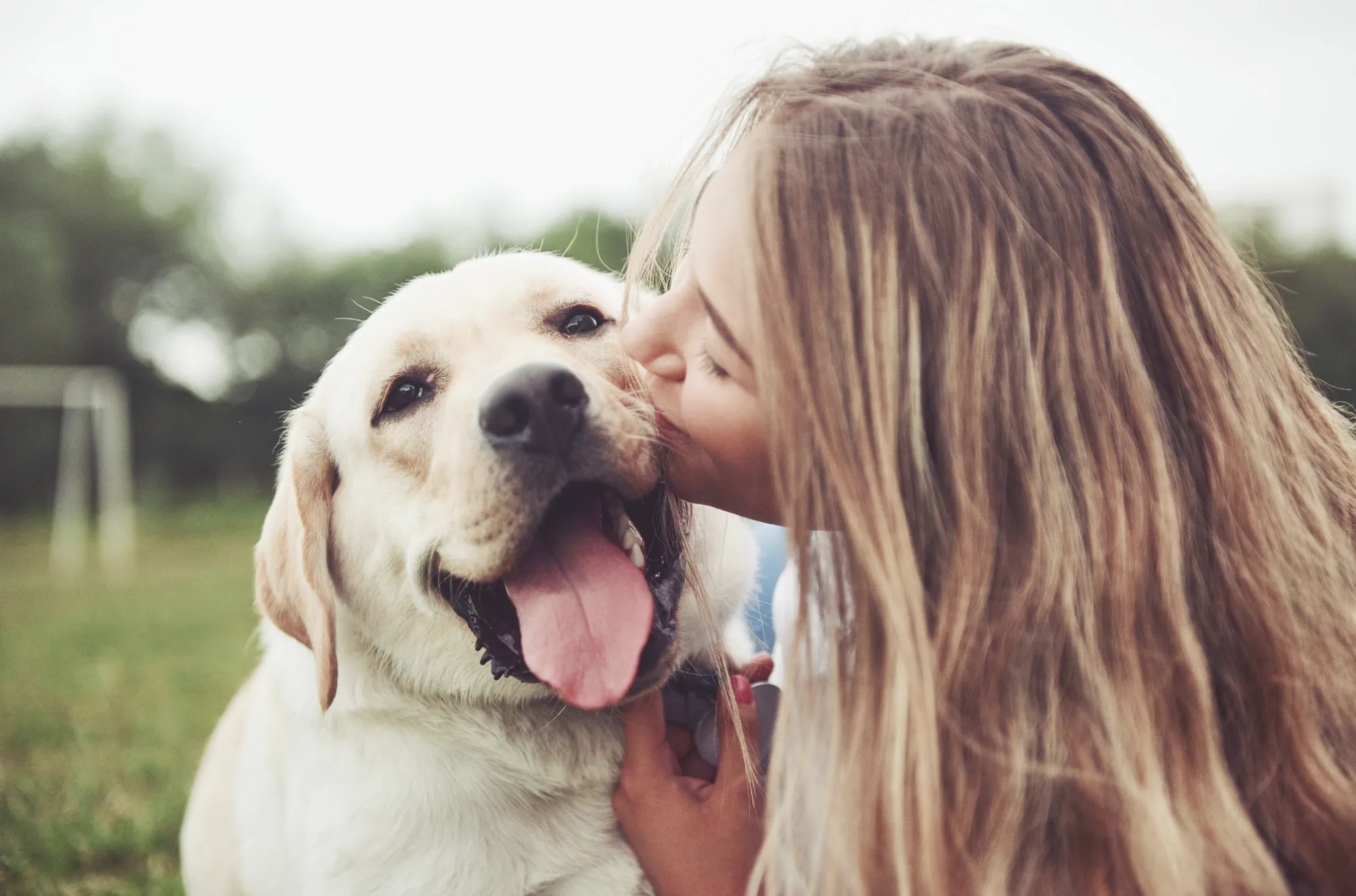Passion for pets since 1932!