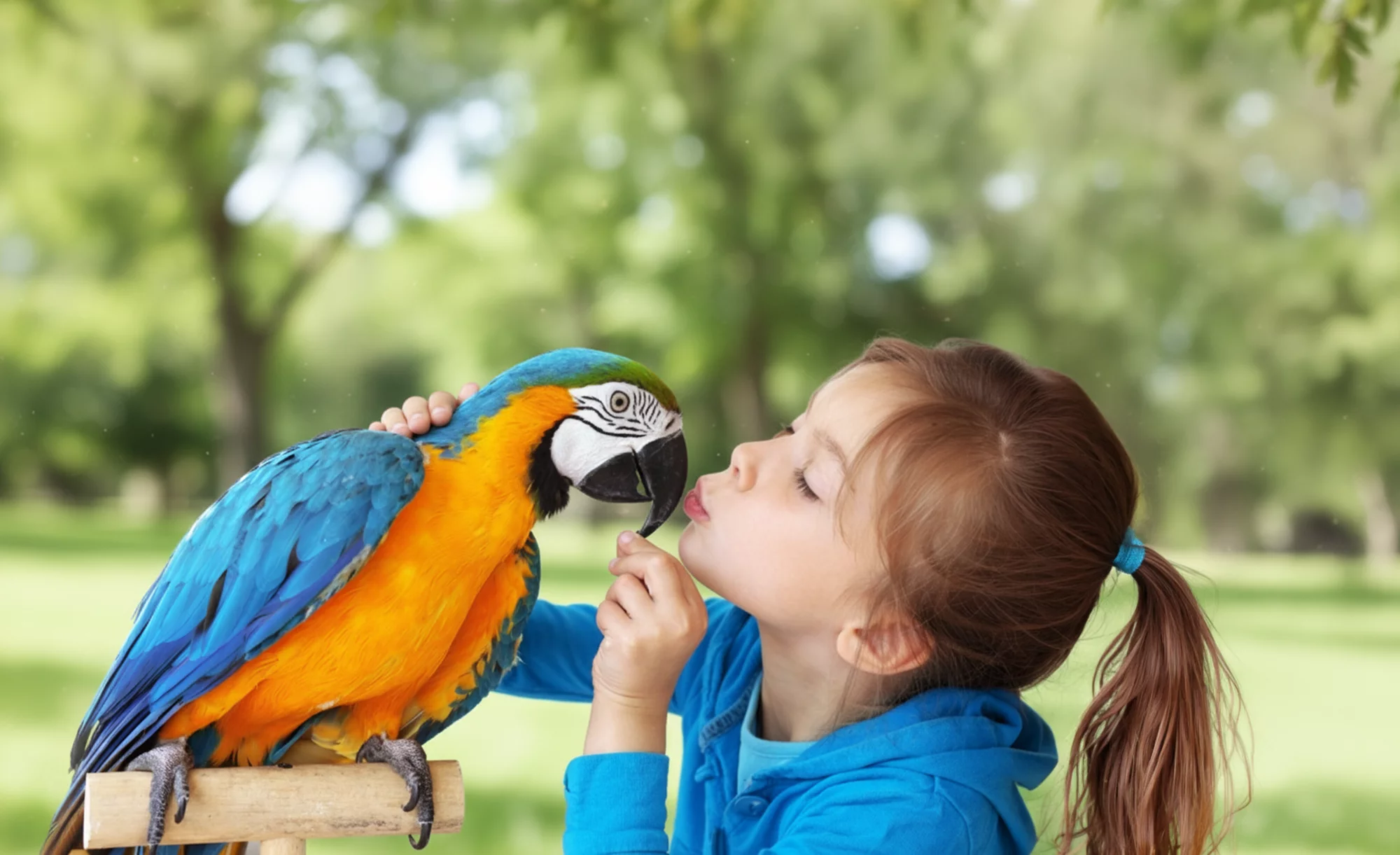 Passion for pets