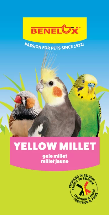 GELE MILLET 1KG QS