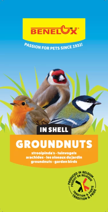 GRONDNOTEN IN SCHELP 1KG QS
