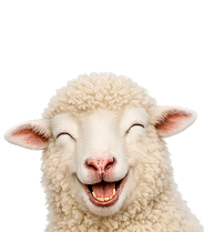 Schaap